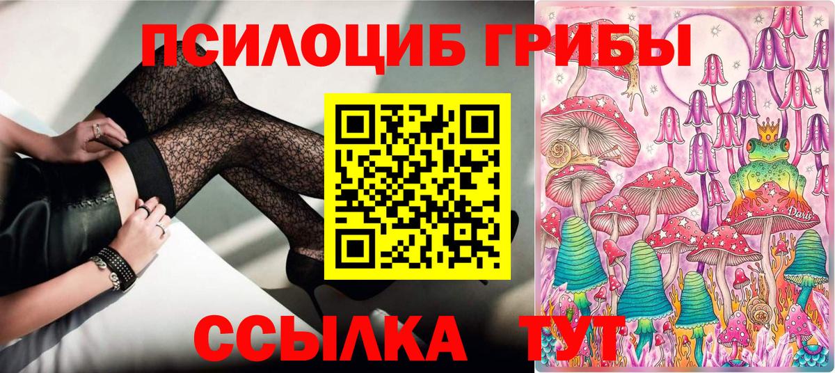 Псилоцибиновые грибы Psilocybe  купить наркотики сайты  Елабуга  Вход с VPN 